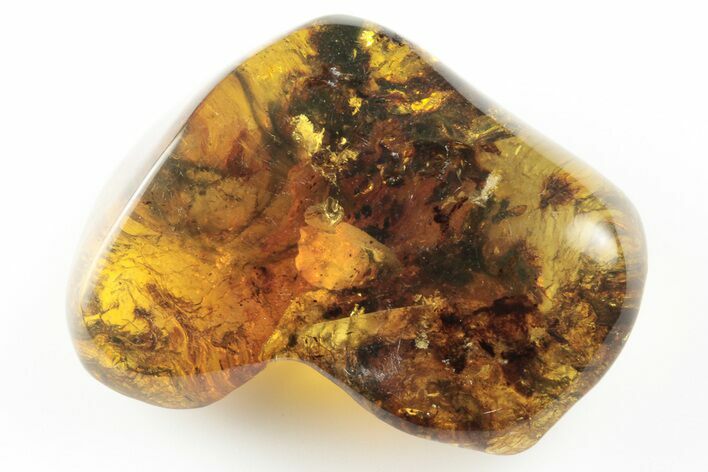 Polished Chiapas Amber ( grams) - Mexico #193272